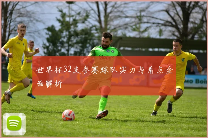 世界杯32支参赛球队实力与看点全面解析