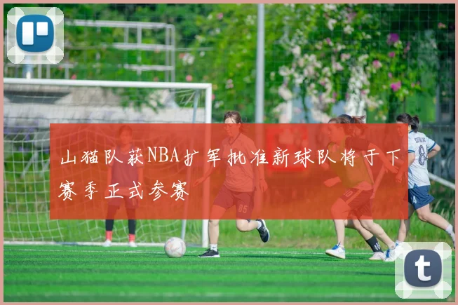 山猫队获NBA扩军批准新球队将于下赛季正式参赛