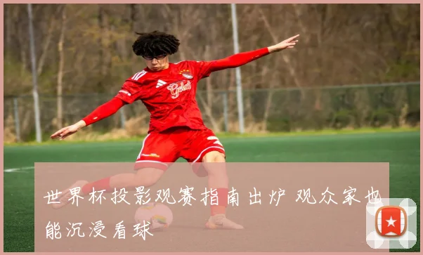 世界杯投影观赛指南出炉 观众家也能沉浸看球