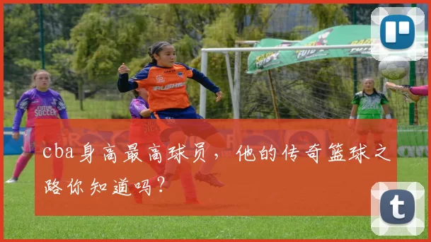 cba身高最高球员，他的传奇篮球之路你知道吗？