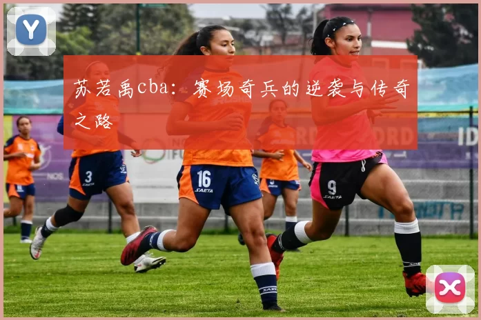 苏若禹cba：赛场奇兵的逆袭与传奇之路